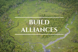 Unprotected: The North - Canada: Build Alliances