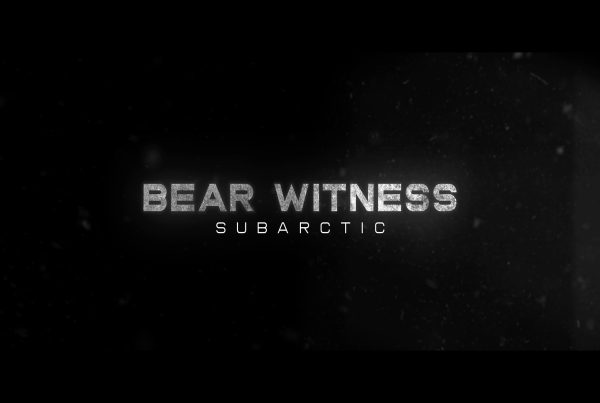 Films | Documentary Shorts | Bear Witness: Subarctic